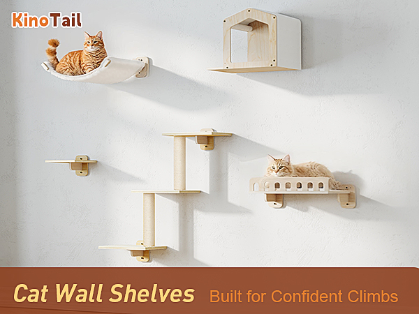 cat wall shelves