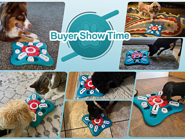 dog puzzle toys