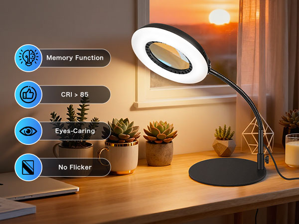 0362-magnifying glass with light