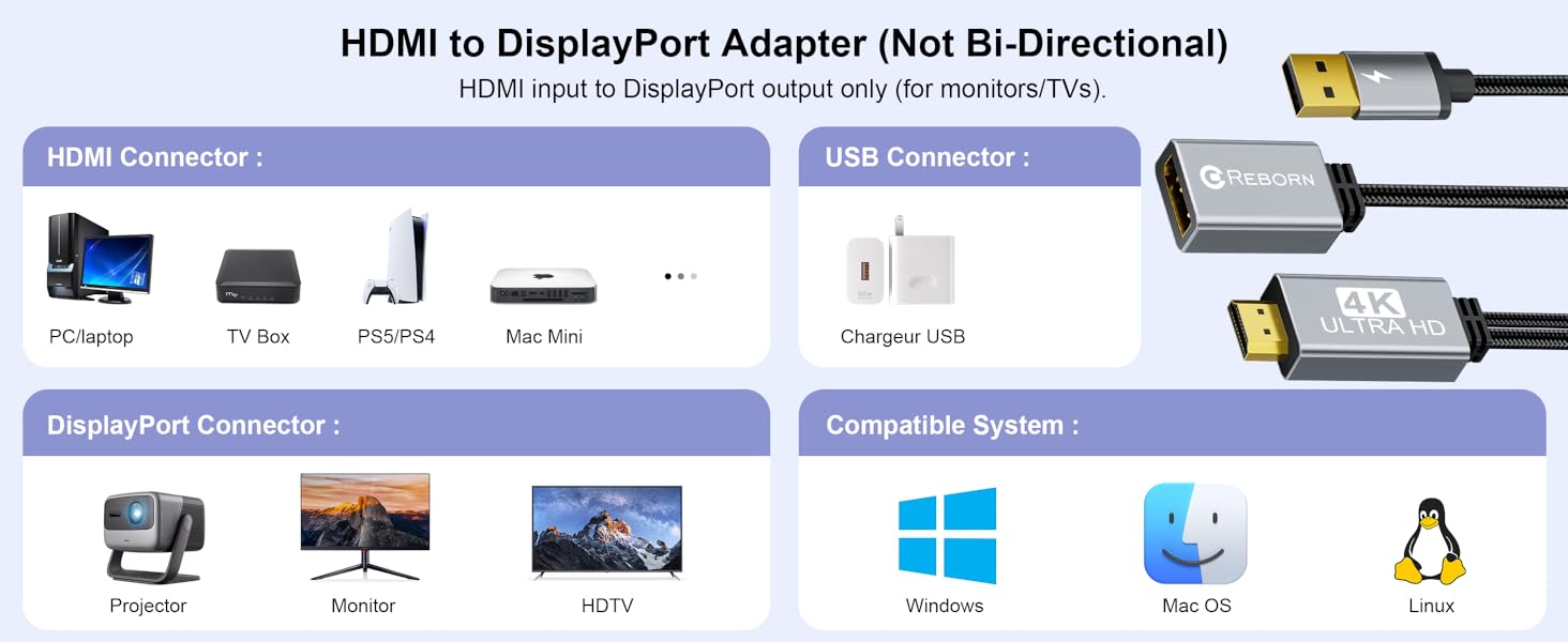 Reborn Active HDMI to DisplayPort Adapter