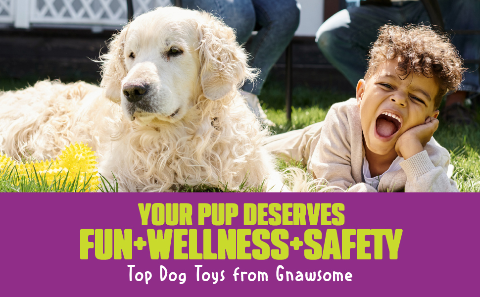 royal pet toys fun wellness safety