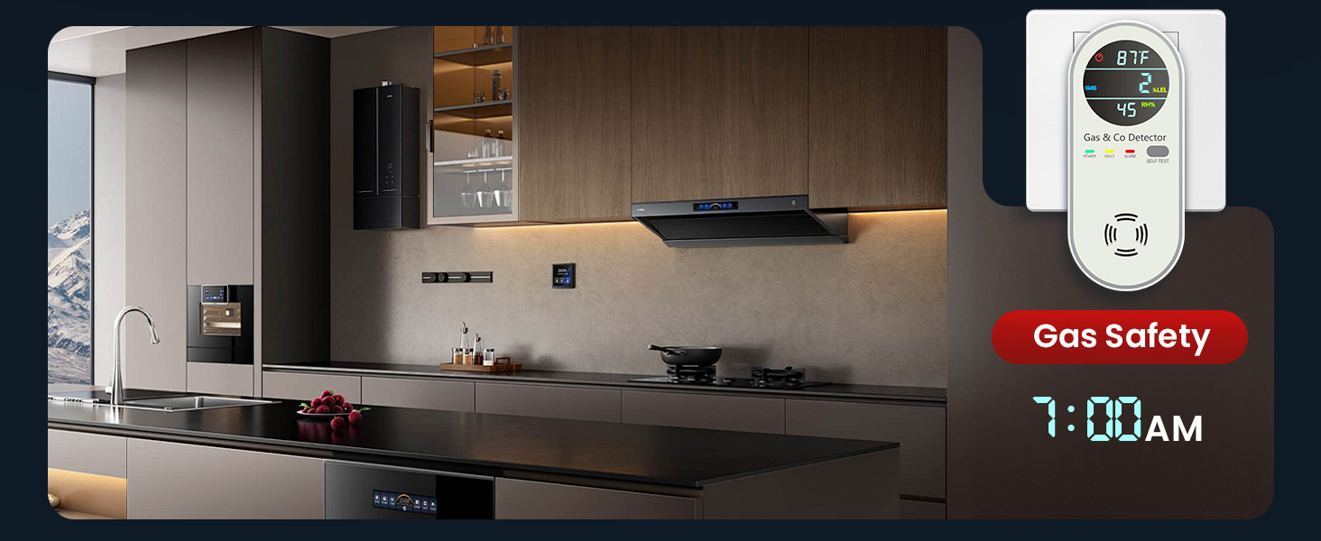 carbon monoxide detectors