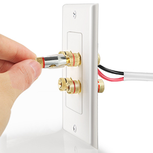 Gold Plated 4 banana binding post for 2 speakers. It is made of hard plastic - ABS