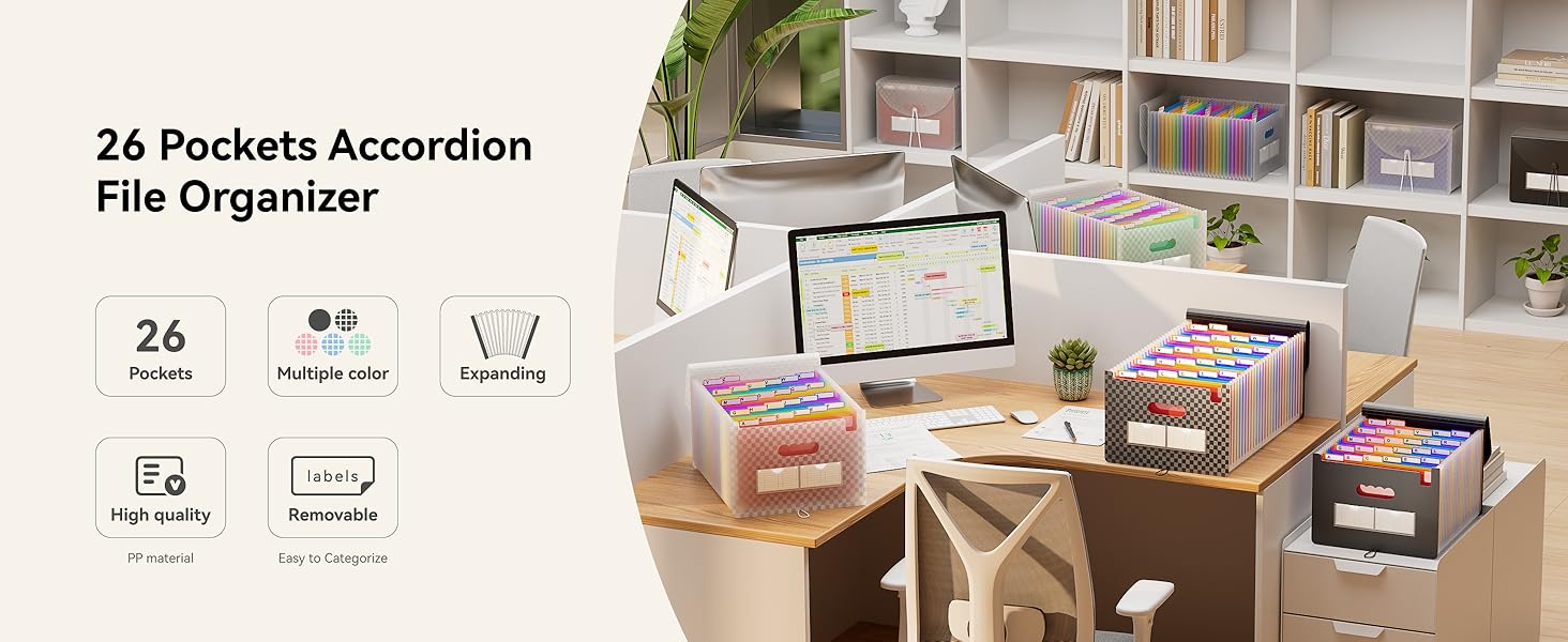 Accordion File Organizer