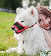 dog muzzle