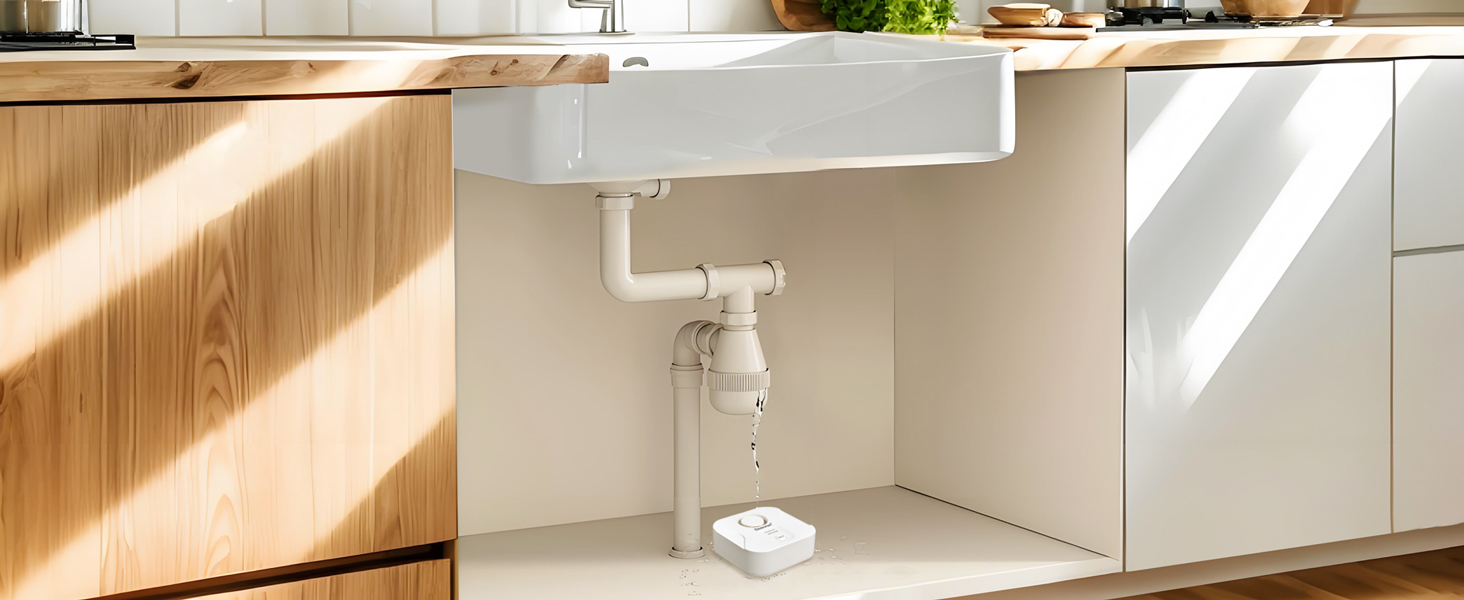 battery-operated water leak detector