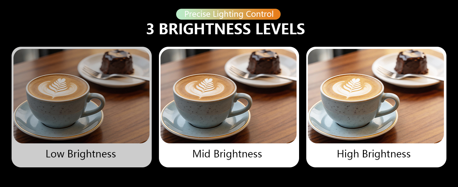 3 Brightness Levels