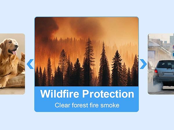 211+ Replacement Filter