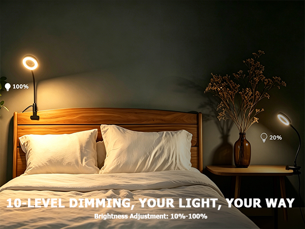 0828-CLIP ON LIGHT
