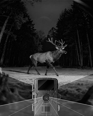 trail cameras with night vision motion activated waterproof