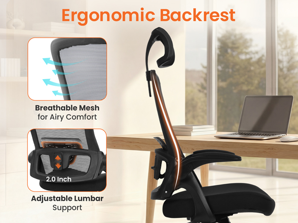 Ergonomic Chair