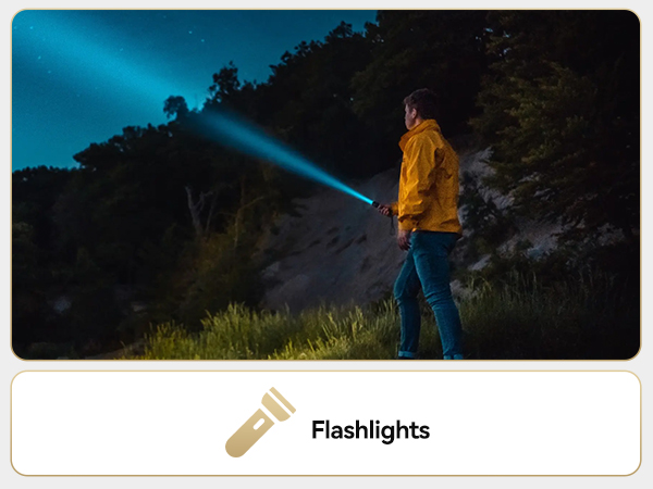 Rechargeable AA Lithium Battery