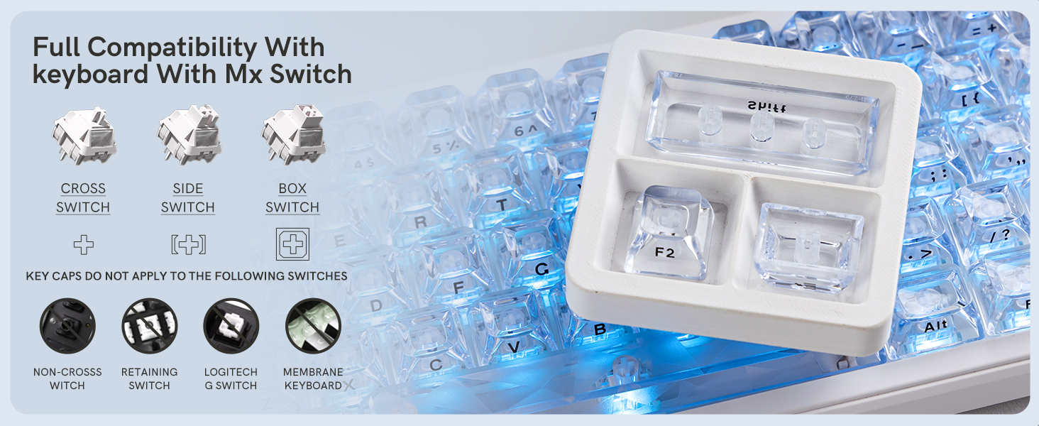 Full Compatibility With keyboard With Mx Switch