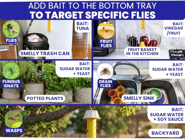 Add bait to bottom tray of the fly catcher indoor to attract specific species of flies