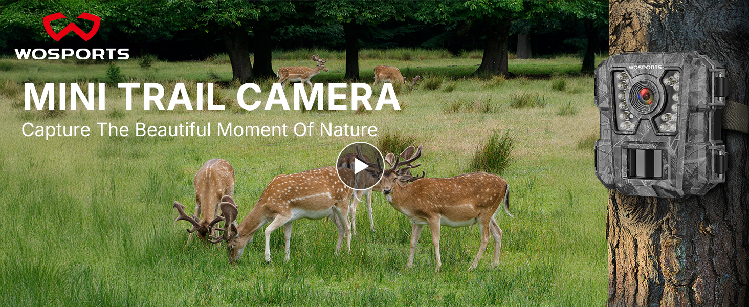 game camera trail cam motion activated trail camera