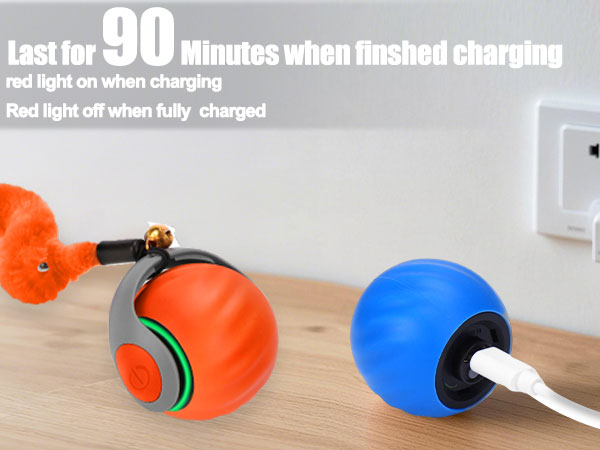 cat toy