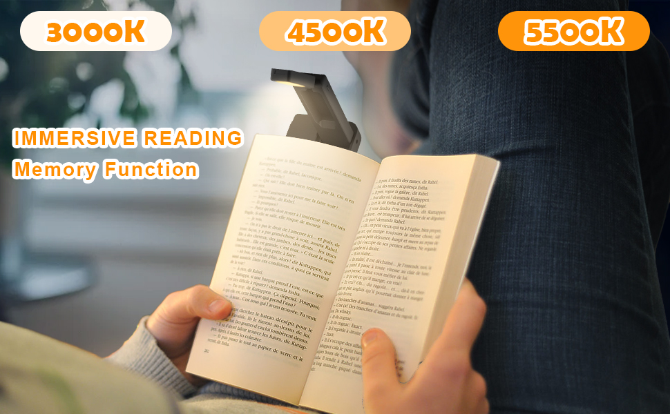 Book Light