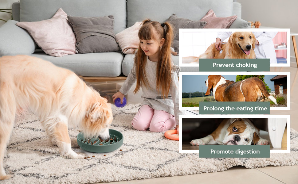 slow feeder dog bowls large breed dog slow feeder bowl
