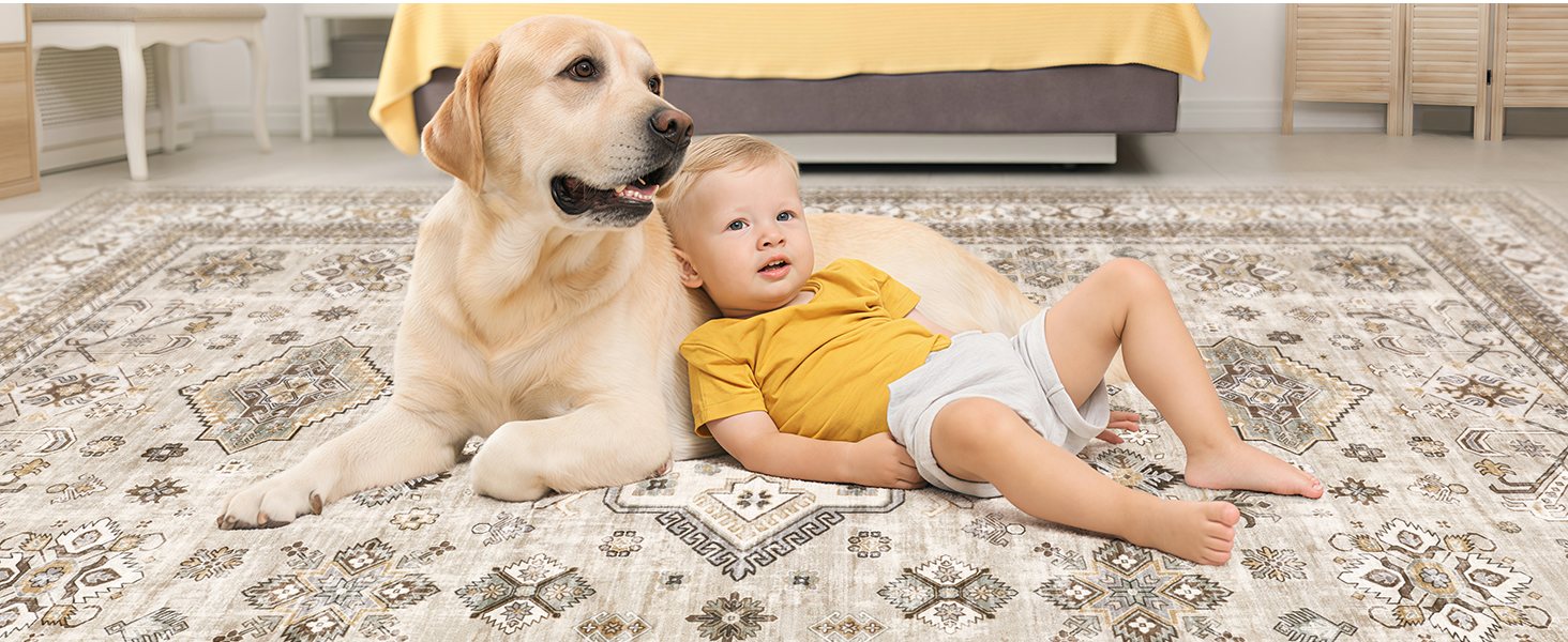 rugs for living room
