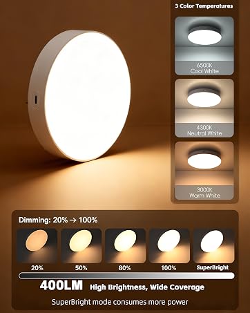 motion sensor ceiling light