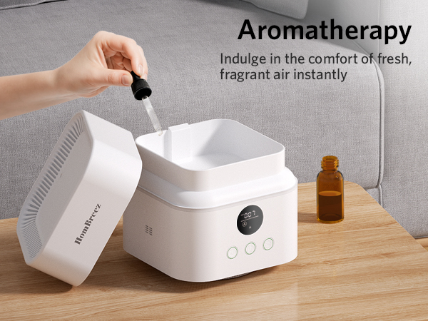 air purifier and humidifier combo