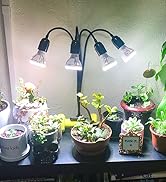 grow light with timer