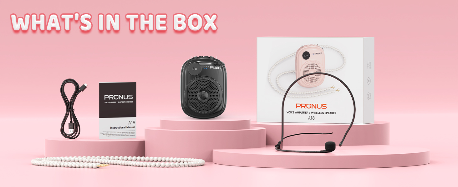 teacher microphone wireless