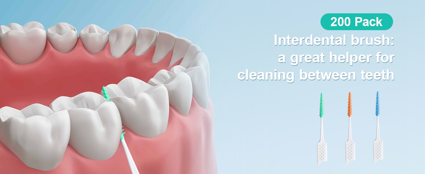 INTERDENTAL BRUSHES-DD