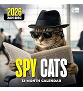 2026 Wall Calendar, Funny Cat Calendar 12 Month Planner - Big Large Wall Calendar for Office, Des...