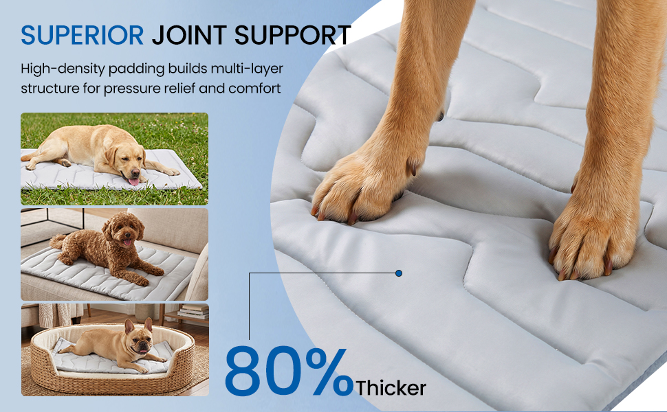 cooling dog bed