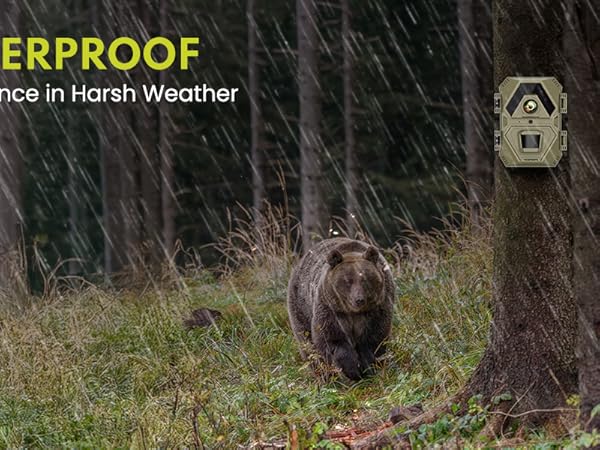 trail cameras with night vision motion activated waterproof