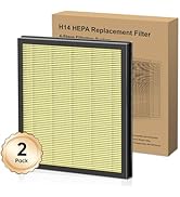 DAYETTE 2 Pack H14 Replacement Filter Compatible AP303/AP304 Air Purifiers, 4-in-1 H14 Grade True...