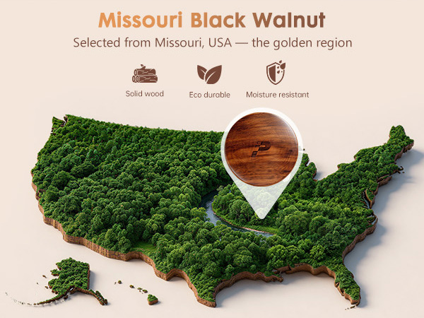 Missouri black walnut