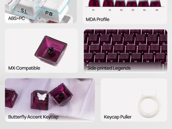 Lusterfly jelly kecaps set