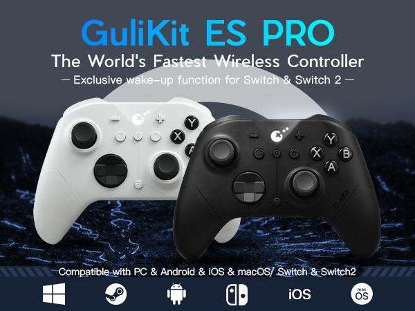 ES Pro