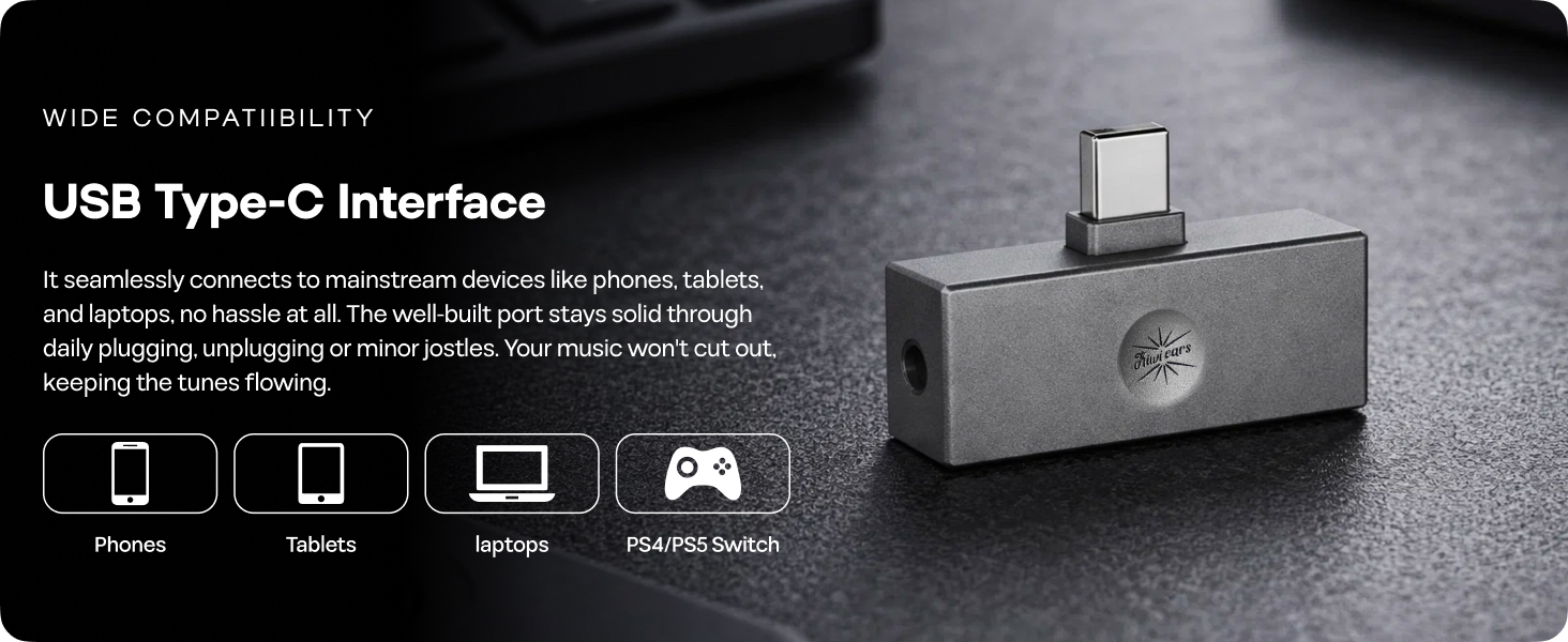 kiwi ears allegro mini dac amp