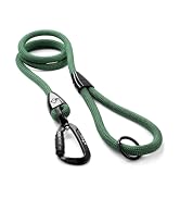 dog leash