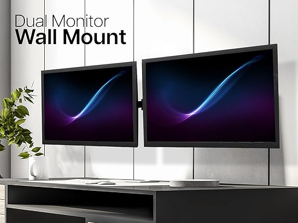 dual wall mount