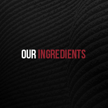 Our Ingredients