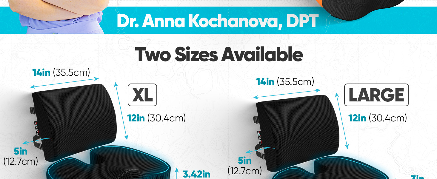 lumbar pillow shown with curvature of back spine on a chair. showing shape of the pillow