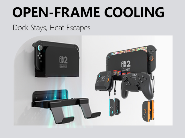 Switch 2 Wall Mount