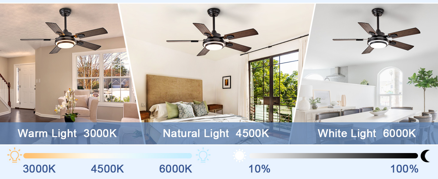 5 blade ceiling fan with light