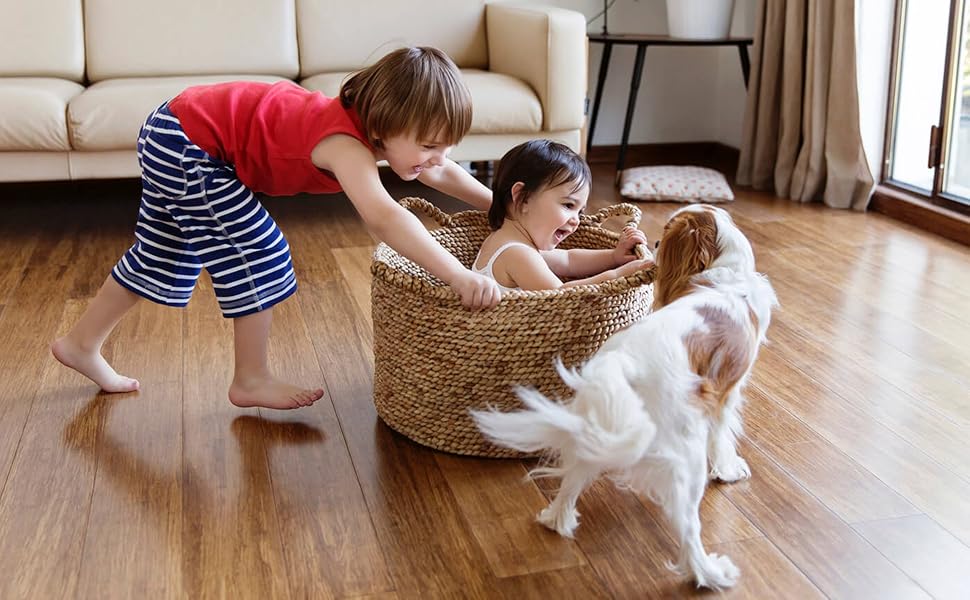mice repellent indoor
