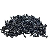 RackGold 12-24#3 Phillips Rack Screws 100 Pack - USA Made