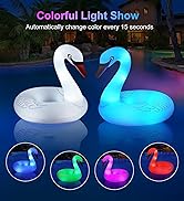swan pool floatie