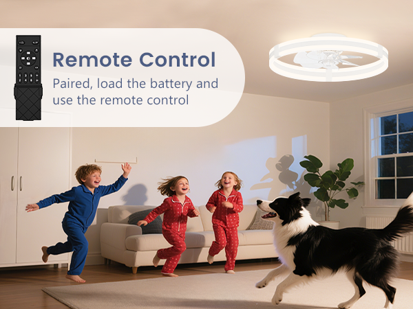 kitchen ceiling fan with lights and remote