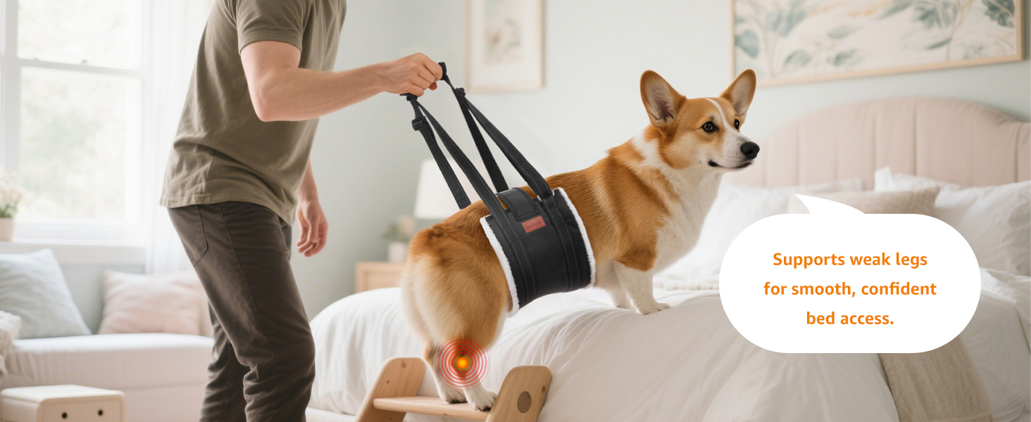 dog sling