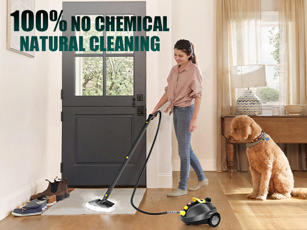 steam cleaner
