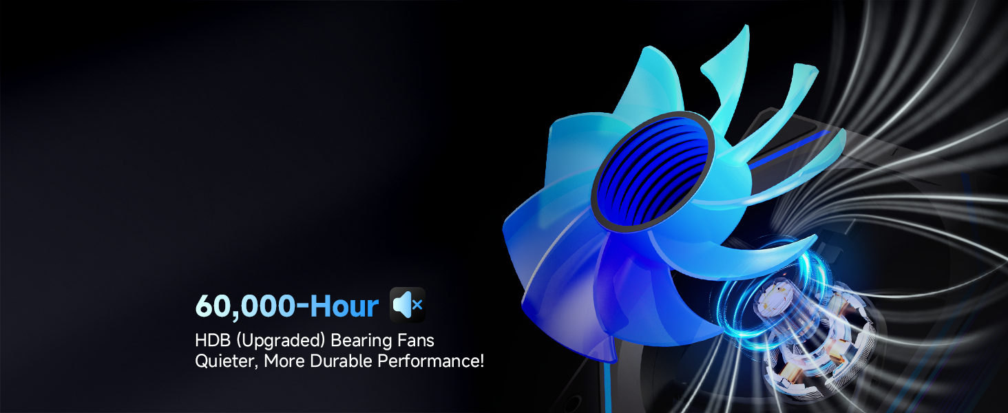 rgb fans