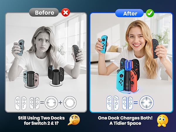 switch 1 and switch 2 charger